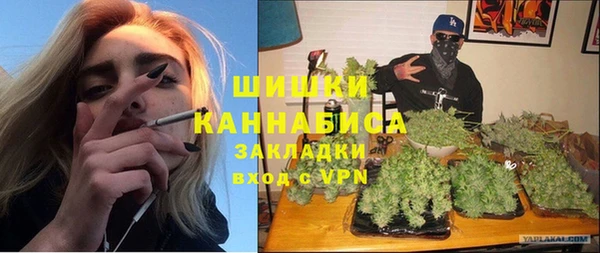шишки Надым