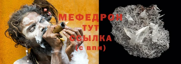 шишки Надым