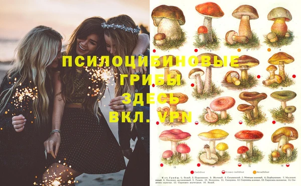 дмт Нея