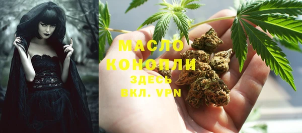 дмт Нея