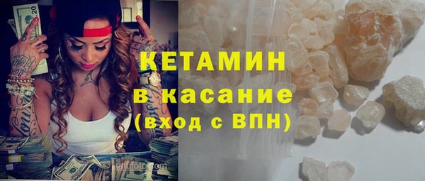 шишки Надым