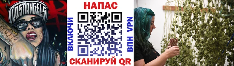 Купить закладки  Шарья  Бошки марихуана VHQ 